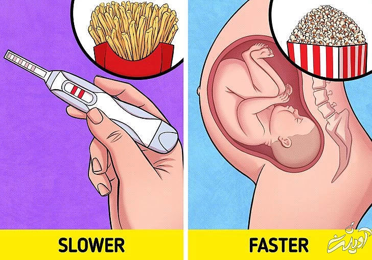 هر روز اگر پاپکورن بخوریم چه اتفاقی در بدن ما رخ می دهد؟